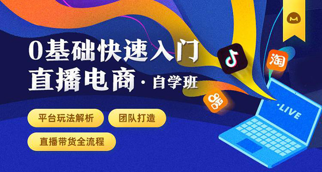 0基础快速入门直播电商课程：直播平台玩法解析-团队打造-带货全流程等环节-资源宝库吧