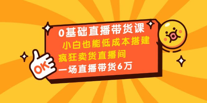 0基础直播带货课:小白也能低成本搭建疯狂卖货直播间:1场直播带货6万-资源宝库吧