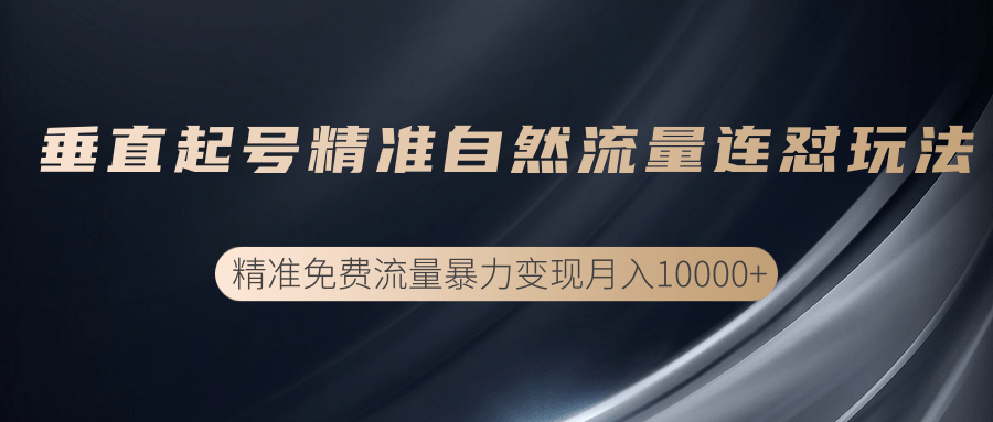 垂直起号精准自然流量连爆玩法,精准引流暴力变现月入10000+-资源宝库吧
