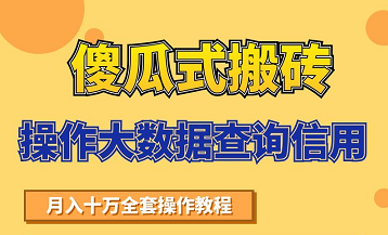 搬砖操作大数据查询信用项目赚钱教程,祝你快速月入6万-资源宝库吧