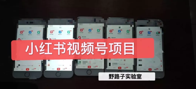 野路子小红书视频号1.0项目,直接上手操作就能赚钱的视频号项目-资源宝库吧