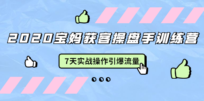 2020宝妈获客操盘手训练营:7天实战操作引爆 母婴、都市、购物宝妈流量-资源宝库吧