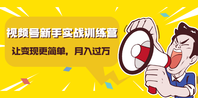 视频号新手实战训练营,让变现更简单,玩赚视频号,轻松月入过万-资源宝库吧