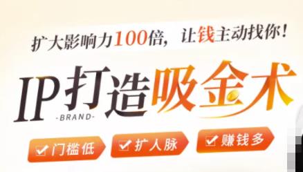 IP打造吸金术:0基础0资源,也能扩大影响力100倍,让钱主动找你!-资源宝库吧