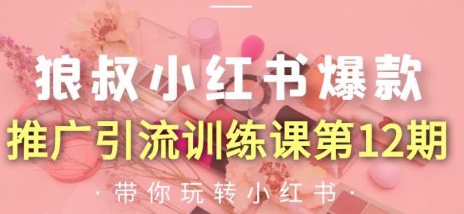 狼叔小红书爆款推广引流训练课第12期,手把手带你玩转小红书-资源宝库吧
