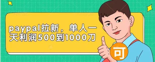 Paypal拉新赚美刀项目,单人一天利润500-1000刀【视频课程】-资源宝库吧