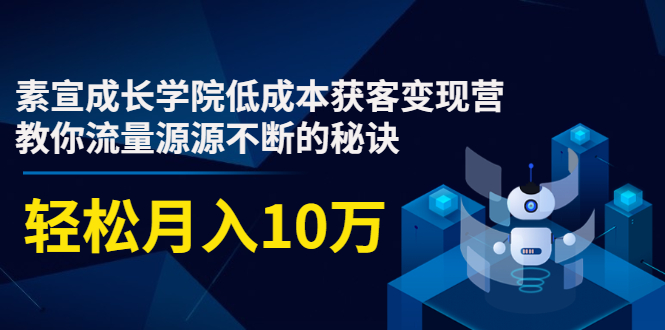 素宣成长学院低成本获客变现营,教你流量源源不断的秘诀,轻松月入10万-资源宝库吧