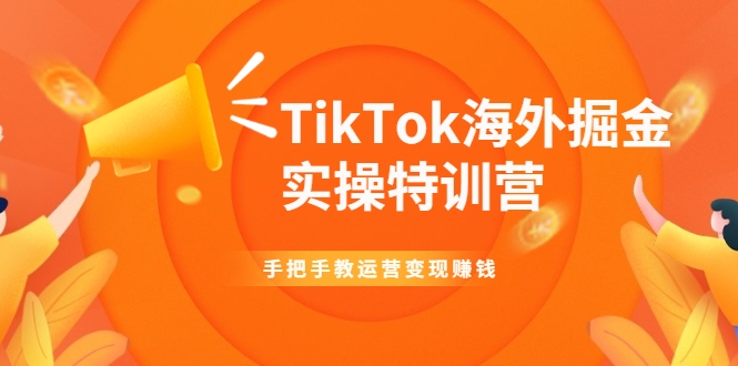 TikTok海外掘金实操特训营：手把手教运营变现赚钱-资源宝库吧