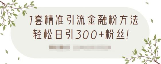 1套精准引流金融粉方法,轻松日引300+粉丝-资源宝库吧