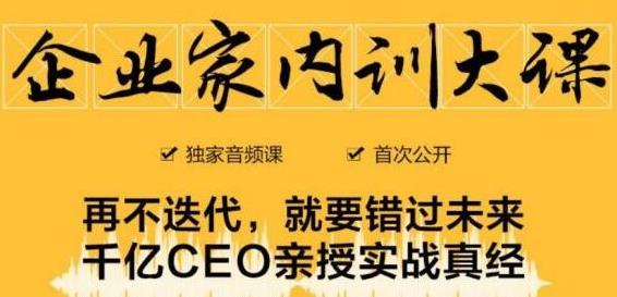 企业家内训大课,未来企业必学经验,价值1299元-资源宝库吧