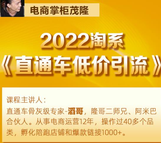 茂隆2022直通车低价引流玩法，教大家如何低投入高回报的直通车玩法-资源宝库吧