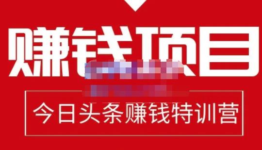 懒人领域·今日头条项目玩法,头条中视频项目,单号收益在50—500可批量-资源宝库吧