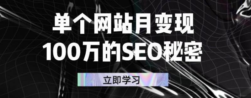 单个网站月变现100万的SEO秘密,百分百做出赚钱站点-资源宝库吧