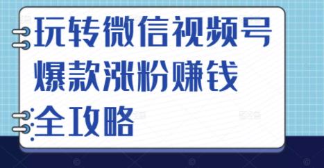 玩转微信视频号爆款涨粉赚钱全攻略,让你快速抓住流量风口,收获红利财富-资源宝库吧
