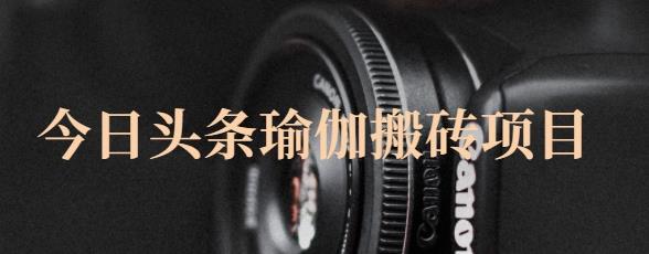 猎人社区·今日头条瑜伽搬砖项目，单号一天几十收入，可以批量操作！-资源宝库吧
