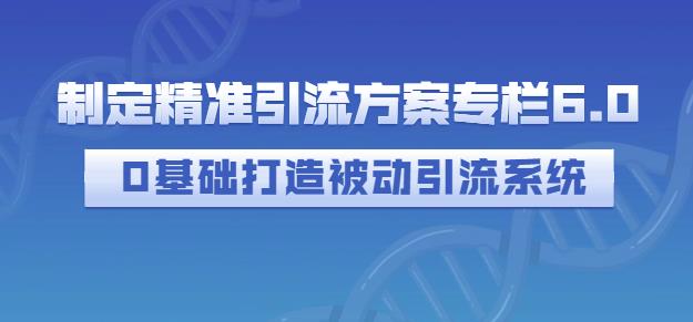 制定精准引流方案专栏6.0,0基础打造被动引流系统-资源宝库吧