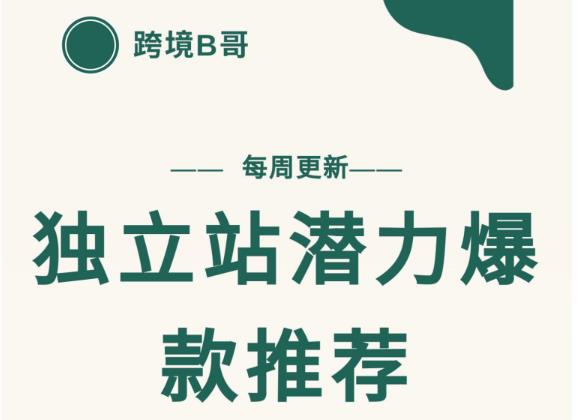 【跨境B哥】独立站潜力爆款选品推荐，测款出单率高达百分之80-资源宝库吧
