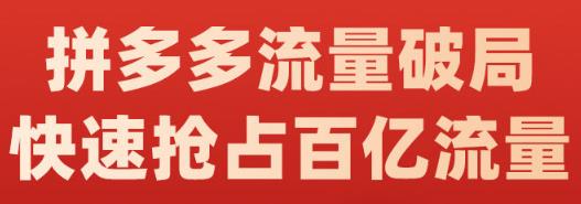 阿杰·拼多多流量破局:如何打黑标,爆款的思路,拼多多流量框架,快速抢占百亿流量-资源宝库吧