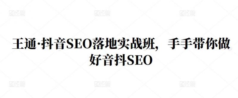 王通·抖音SEO落地实战班,手手带你做好音抖SEO-资源宝库吧