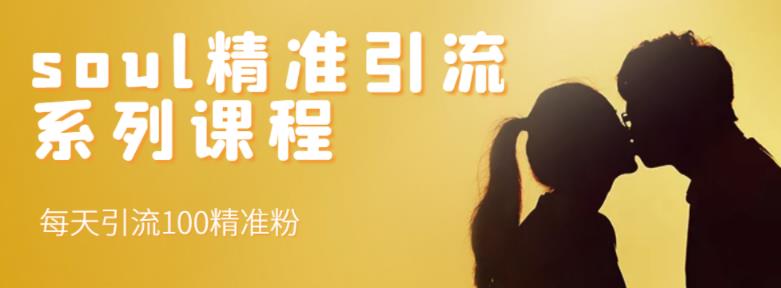 soul精准引流系列课程,每天引流100精准粉-资源宝库吧