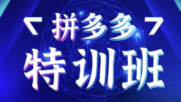 星雪教育·拼多多基础班+进阶班+突破班,用系统的学习模式快速改变现状价值3580元-资源宝库吧