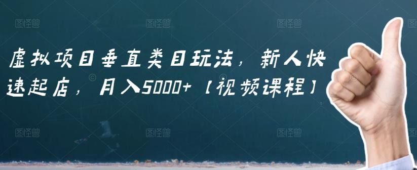 虚拟项目垂直类目玩法,新人快速起店,月入5000+【视频课程】-资源宝库吧