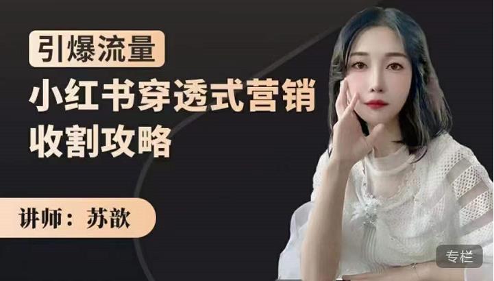 苏歆：小红书穿透式营销收割攻略，引爆流量，助你玩转小红书-资源宝库吧