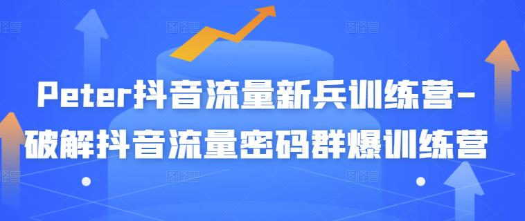 Peter抖音流量新兵训练营-破解抖音流量密码群爆训练营（新兵）-资源宝库吧