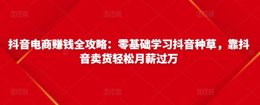 抖音电商赚钱全攻略:零基础学习抖音种草,靠抖音卖货轻松月薪过万-资源宝库吧