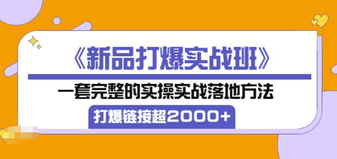 凌童《新品打爆实战班》,一套完整的实操实战落地方法,打爆链接超2000+(28节课)-资源宝库吧