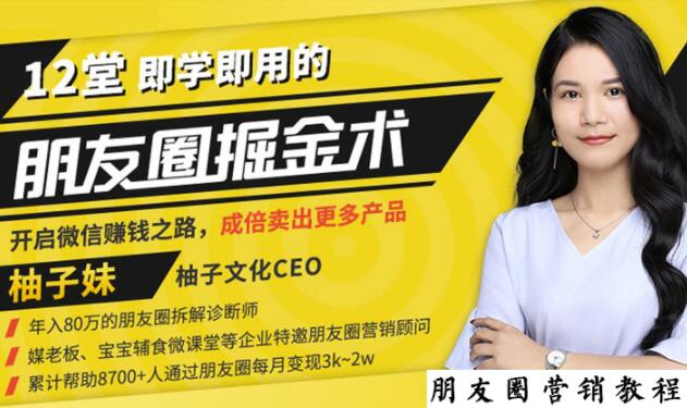 【营销必学】12堂学之即用的朋友圈掘金术:开启你的副业赚钱之路-资源宝库吧