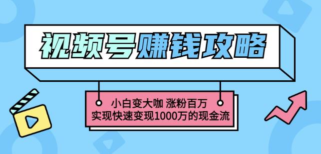玩转微信视频号赚钱:小白变大咖涨粉百万实现快速变现1000万的现金流-资源宝库吧