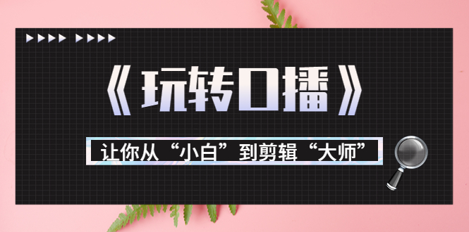 月营业额700万+大佬教您《玩转口播》让你从“小白”到剪辑“大师”-资源宝库吧