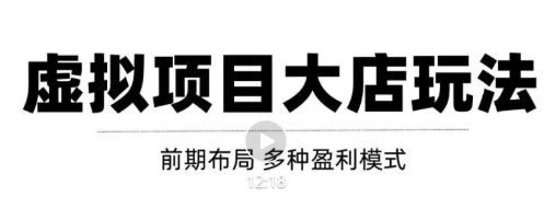 虚拟项目月入几万大店玩法分享,多店操作利润倍增(快速起店盈利)-资源宝库吧