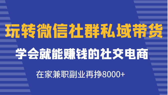 玩转微信社群私域带货,学会就能赚钱的社交电商,在家兼职副业再挣8000+-资源宝库吧