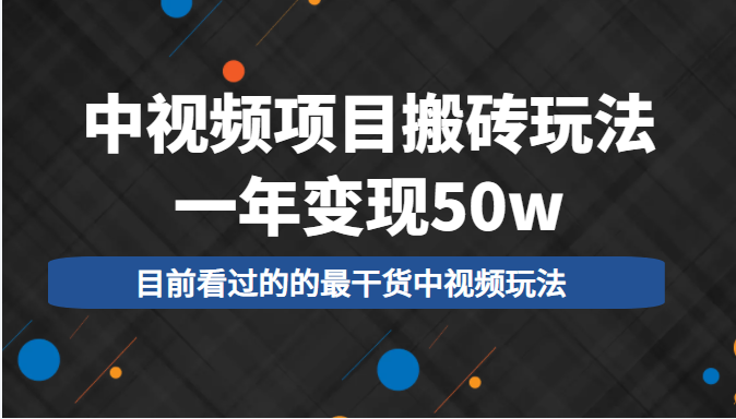 中视频项目搬砖玩法,一年变现50w,目前看过的的最干货中视频玩法-资源宝库吧