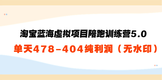淘宝蓝海虚拟项目陪跑训练营5.0:单天478纯利润-资源宝库吧