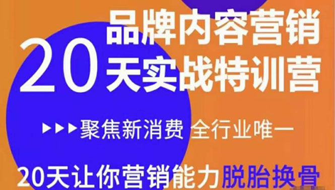 《内容营销实操特训营》20天让你营销能力脱胎换骨(价值3999)-资源宝库吧