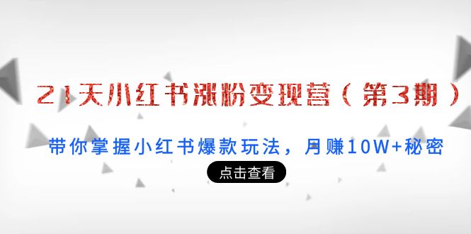 21天小红书涨粉变现营(第3期):带你掌握小红书爆款玩法,月赚10W+秘密-资源宝库吧