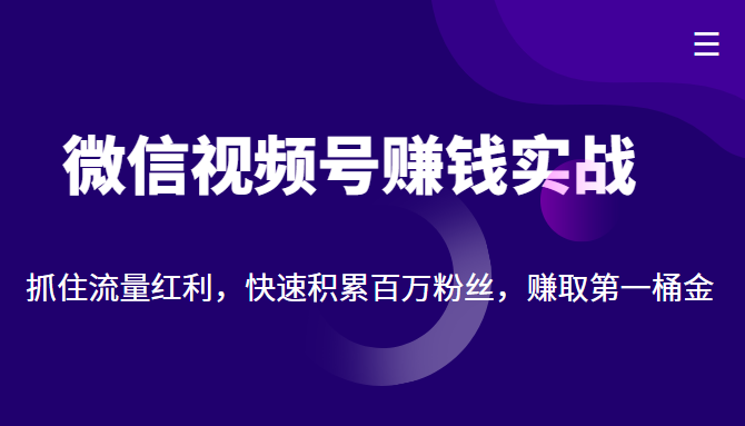 微信视频号赚钱实战：抓住流量红利，快速积累百万粉丝，赚取你的第一桶金-资源宝库吧