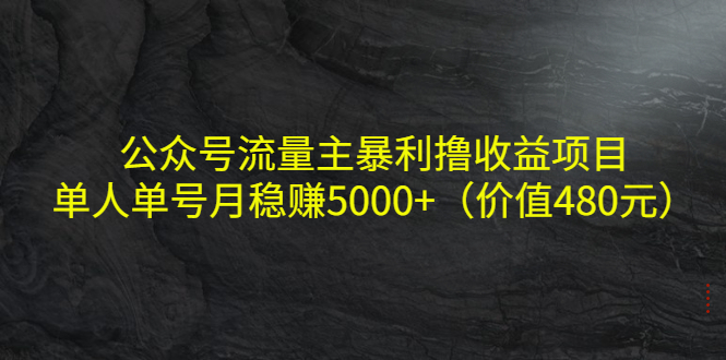 公众号流量主暴利撸收益项目,单人单号月稳赚5000+(价值480元)-资源宝库吧