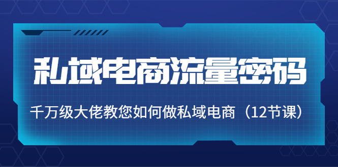 私域电商流量密码:千万级大佬教您如何做私域电商(12节课)-资源宝库吧