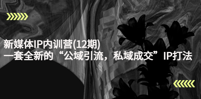 新媒体IP内训营(12期),一套全新的“公域引流,私域成交”IP打法,直接带走-资源宝库吧
