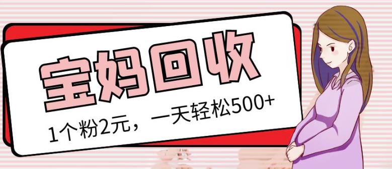 最新小红书母婴号宝妈粉回收项目,1个粉2元,一天轻松500+案例分享【粉丝包回收】-资源宝库吧