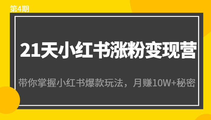 21天小红书涨粉变现营（第4期）：带你掌握小红书爆款玩法，月赚10W+秘密-资源宝库吧