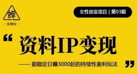 资料IP变现,能稳定日赚3000起的持续性盈利玩法-资源宝库吧