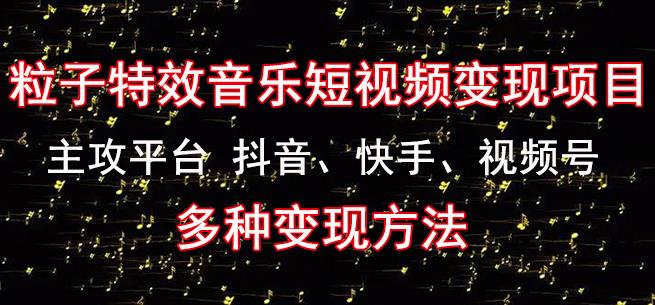 黄岛主《粒子特效音乐短视频变现项目》主攻平台抖音、快手、视频号多种变现方法-资源宝库吧