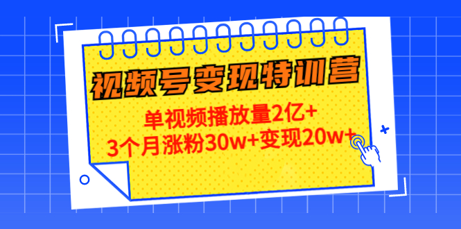 21天视频号变现特训营:单视频播放量2亿+3个月涨粉30w+变现20w+(第14期)-资源宝库吧