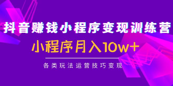 抖音赚钱小程序变现训练营：小程序月入10w+各类玩法运营技巧变现-资源宝库吧