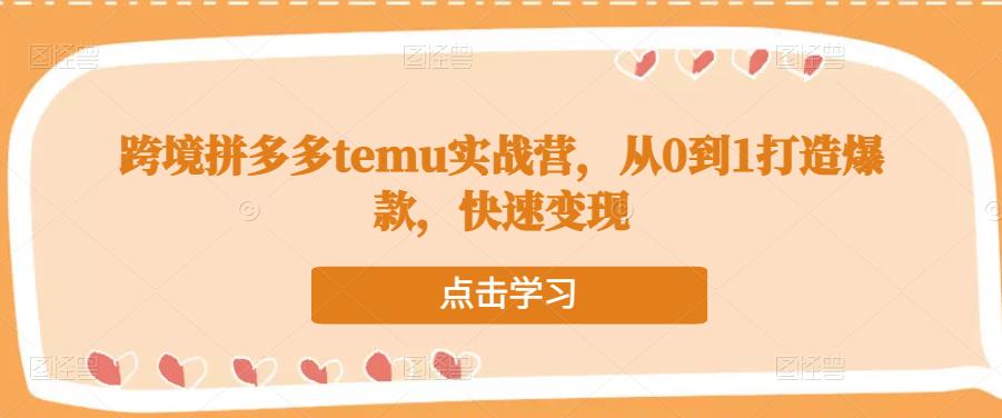 跨境拼多多temu实战营,从0到1打造爆款,快速变现-资源宝库吧